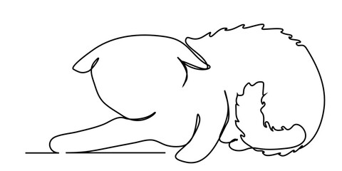Continuous lines. Minimal cats.