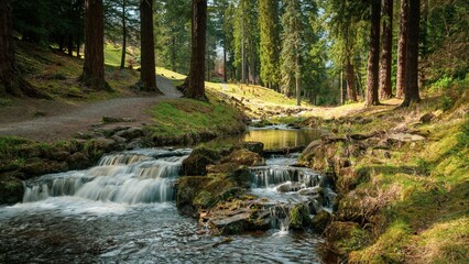 Long exposure shot of a river streaming downwards located in a forest