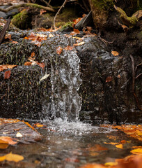 Small waterfall flowing through moss covered rocks and fallen colorful autumn leaves
