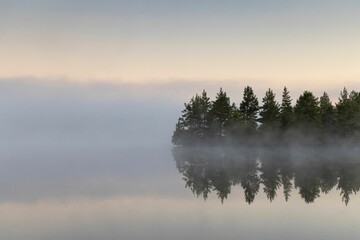 Breathtaking scenery of a lake covered by fog next to lush pine forest in Nigula, Estonia
