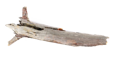 Dry rotten branch isolated on white, top view
