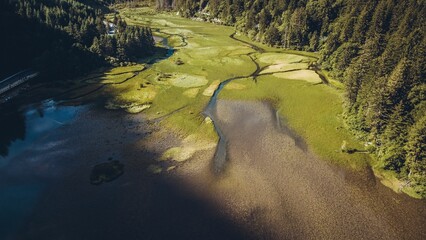 Aerial of the Jiuzhaigou valley lake covered in algae surrounded by dense forests