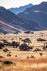 Fototapeta na wymiar Vertical shot of the Namtib Biosphere Reserve with Tiras Mountains in the background