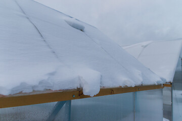greenhouse roof under snow in winter, close-up