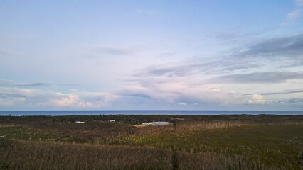 Scenic view of forest landscape near Port Macquarie in New South Wales, Australia