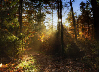 Obraz premium Herbstzeit