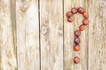 on a wooden background from the fruits of the chestnut there is a question mark