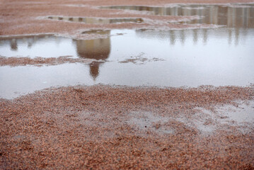 Reflection of Gatchina Palace in puddles