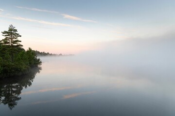 Foggy lake around green trees under a blue sky