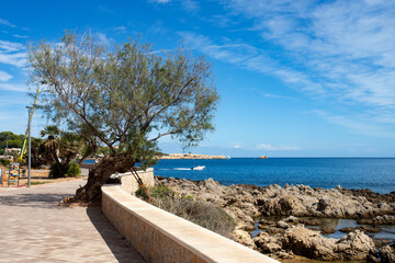 Fototapeta na wymiar Spain Mallorca Island, view of the coastal beach of Cala Ratjada, Mediterranean Sea.