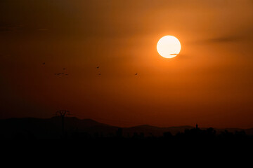 round yellow sun in an orange sky at sunset with some birds nearby