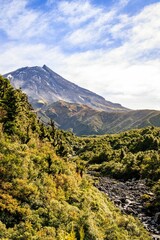 Fototapeta premium Scenic vertical view of the beautiful Taranaki mountain surrounded by lush trees in New Zealand