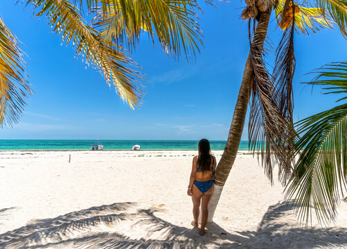 Anonymous woman walking near palm on beach