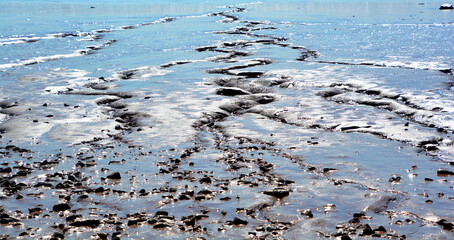 Coastline on the Bay of Fundy in New Brunswick in Canada at low tide