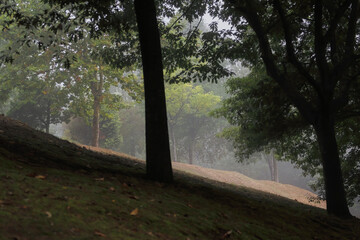 Public park in a foggy morning
