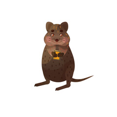 Charming quokka with a books in his hands. Animals read.  Educational illustration for children. Cartoon cute animal