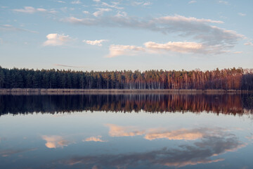 Beautiful landscape view to the lake in the forest with a trees in late autumn