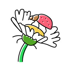 ladybug flower spring color icon vector illustration
