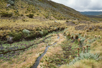 Scenic view of Nithi River in Chogoria Route, Mount Kenya National Park, Kenya