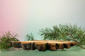 Natural tree empty podium with fir branches on gradient background. Eco friendly show case for...