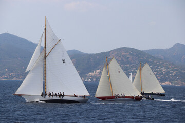 Naklejka premium Cannes Classic Sailing Event