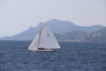 Fototapeta premium Cannes Classic Sailing Event