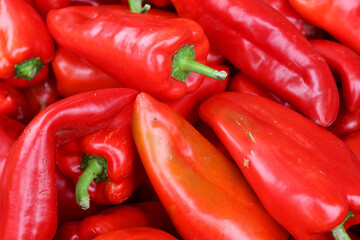 Pimientos Choriceros, dry hot guindilla peppers, and Piparras-Basque green peppers hanging.