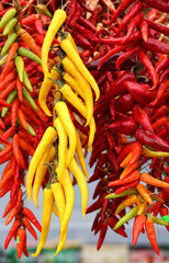 Dry peppers: Pimientos Choriceros, dry hot guindilla peppers, and Piparras-Basque green peppers hanging.