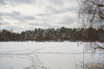 Picturesque winter landscape with snow trees and lake.