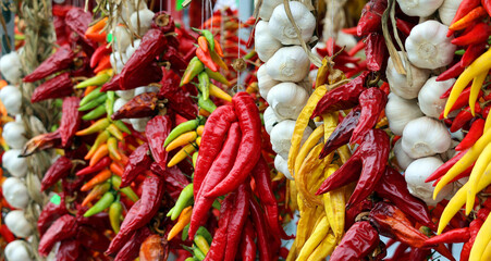 Dry peppers: Pimientos Choriceros, dry hot guindilla peppers, and Piparras-Basque green peppers hanging.