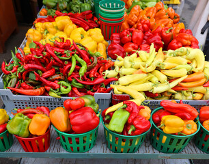Pimientos Choriceros, dry hot guindilla peppers, and Piparras-Basque green peppers hanging.
