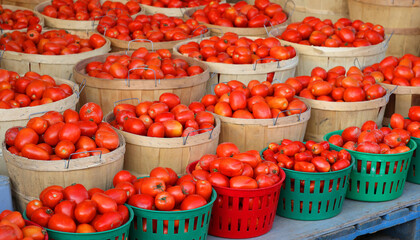 Tomatoes at the Jean-Talon Market is a farmer's market in Montreal. Located in the Little Italy district, the market is bordered by Jean-Talon Street 