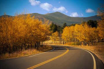 Fototapeta premium fall scene at rocky mountain national park