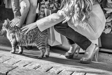 Fototapeta na wymiar Two girls shopping and touching a cat along the city streets