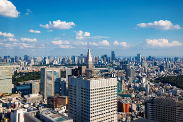 Fototapeta na wymiar Skyscrapers towering above the cityscape of Nishi-Shinjuku, Tokyo, Japan