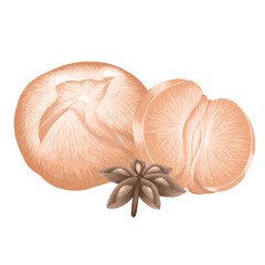 Mandarin with anise star