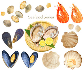 海の幸ー貝ーエビーシーフードシリーズのイラスト手描きセット素材 © MerciArtworks