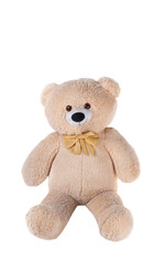 big bear toy isolated