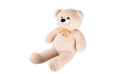 big bear toy isolated