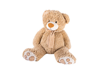 big bear toy isolated