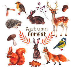 Watercolor autumn forest animals stickers. Set of hand drawn deer, rabbit, hare, fox. birds, squirrel, hedgehog. leaves. branch and mushroom illustration.fall, seasonal, berry, sticker, garden, foliag