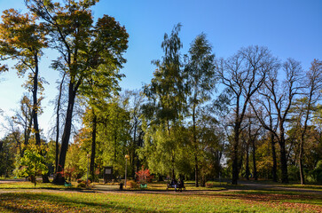 Beautiful landscape with autumn trees in park on a sunny day