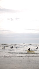 surfers are frolicking in the sea