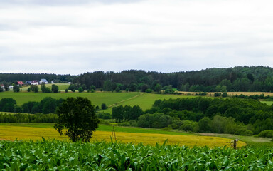 Fototapeta na wymiar Fields and meadows of Wiezyca, Kashubia region, Poland