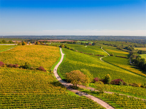 Weinberge im Rheingau im Herbst von oben (Drohne) an einem sonnigen Tag, nahe Kloster Eberbach