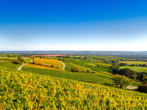 Weinberge im Rheingau im Herbst von oben (Drohne) an einem sonnigen Tag, nahe Kloster Eberbach