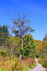 Fall landscape reflection Bromont Eastern Township Quebec province Canada