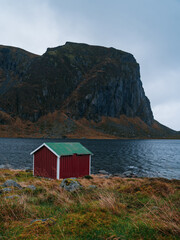 Fototapeta na wymiar Rorbu, a fisherman cabins, one of the most recognizable symbols of Lofoten, Norway. 
