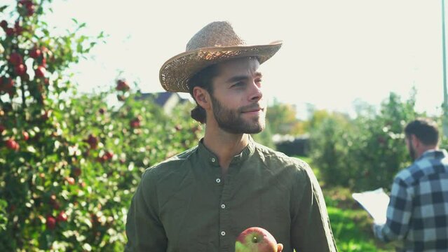 Young caucasian handsome man in hat walking in garden full of apple trees on sumer day in orchad. Outdoors. Male gardener at seasonal work. Harvesting concept. Strolling in garden and holding apple.