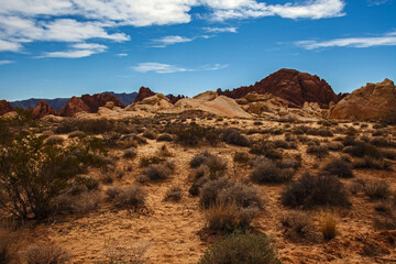 Valley of Fire State Park 2733